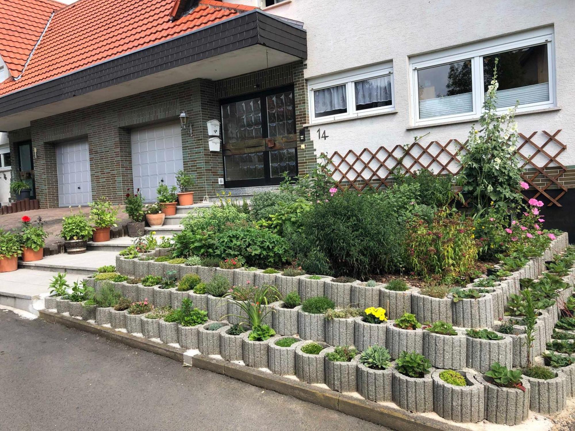 Ferienwohnung Domes-Kreuzer Bad Zwesten Zewnętrze zdjęcie